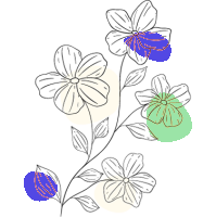 fleur