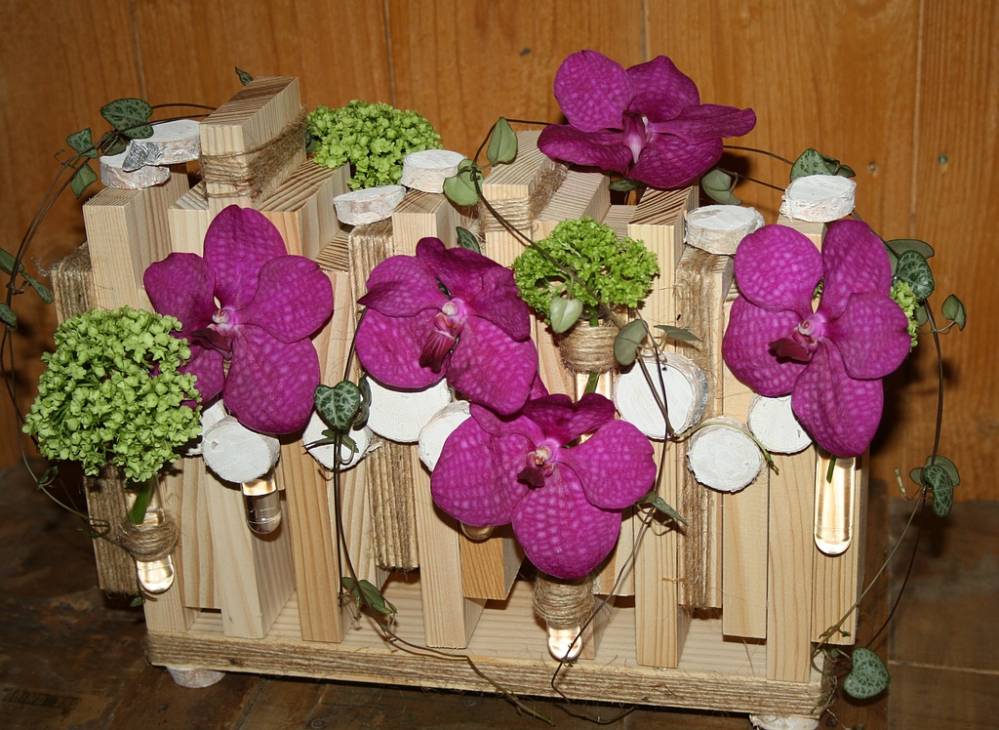 creations (3)