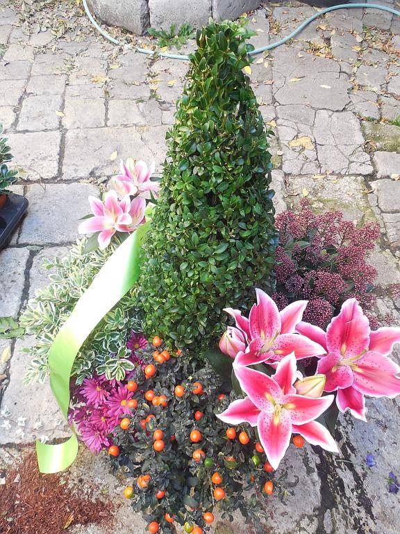 hommage (9)